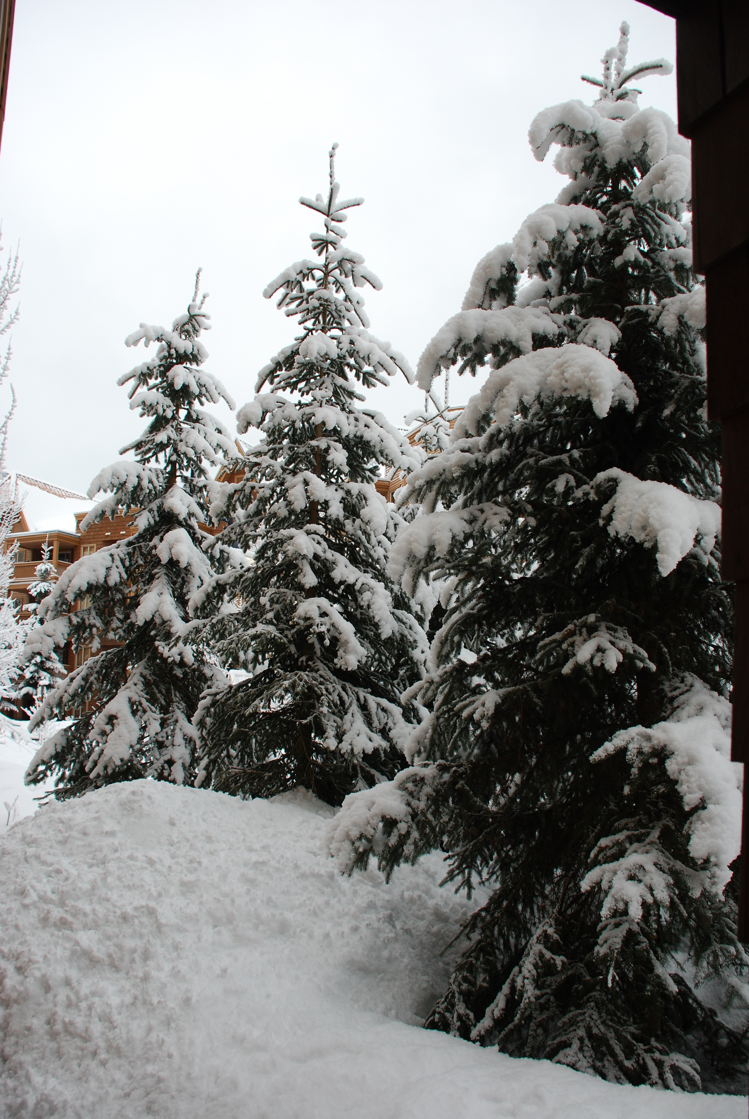 2009-03-WHISTLER WITH MUSSATTOS 13.jpg